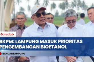 Pemerintah Tetapkan Lampung sebagai Prioritas Nasional Pengembangan Industri Bioetanol