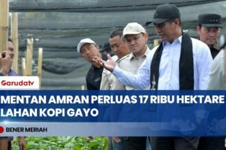 Mentan Amran Siapkan 17 Juta Bibit untuk Perluasan 17 Ribu Hektare Kopi Gayo di Aceh