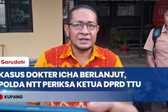 Kasus Dokter Icha Berlanjut, Polda NTT Periksa Ketua DPRD TTU dan Dalami Bukti Video