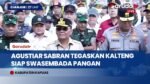 Gubernur Kalteng Pimpin Panen Raya di Kapuas, Tegaskan Komitmen Dukung Swasembada Pangan
