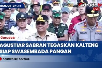 Gubernur Kalteng Pimpin Panen Raya di Kapuas, Tegaskan Komitmen Dukung Swasembada Pangan