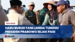 Haru Buruh Tani Lansia Tunggu Prabowo Sejak Pagi, Berharap Petani Semakin Sejahtera