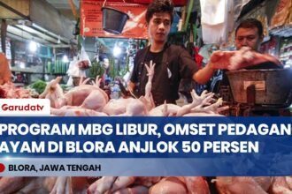Efek Libur Sekolah: Program Makan Bergizi Gratis Jeda, Omzet Pedagang Ayam Blora Anjlok 50 Persen!