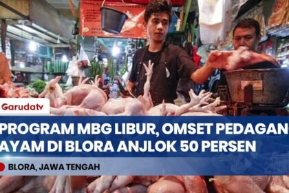 Efek Libur Sekolah: Program Makan Bergizi Gratis Jeda, Omzet Pedagang Ayam Blora Anjlok 50 Persen!