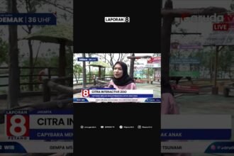 Seru Banget! Main Bareng Capybara di Citra Interactive Zoo, Tempat Wisata Baru Hits di Jakarta Barat