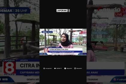 Seru Banget! Main Bareng Capybara di Citra Interactive Zoo, Tempat Wisata Baru Hits di Jakarta Barat