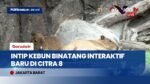 Seru Banget! Main Bareng Capybara di Citra Interactive Zoo, Tempat Wisata Baru Hits di Jakarta Barat