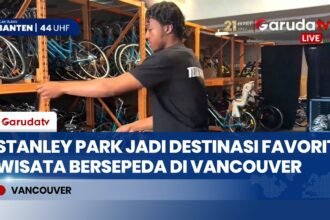 Menyusuri Stanley Park, Menikmati Panorama Alam dan Warisan Budaya di Vancouver
