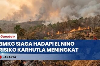 BMKG Waspadai El Nino Saat Puncak Kemarau 2026, Potensi Karhutla Meningkat