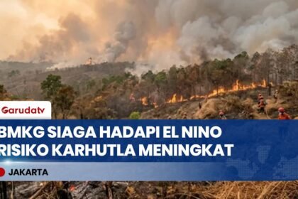 BMKG Waspadai El Nino Saat Puncak Kemarau 2026, Potensi Karhutla Meningkat
