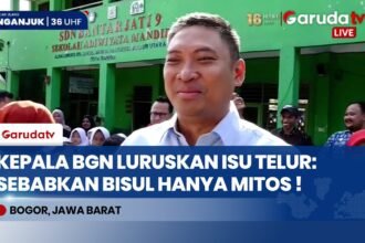 Kepala BGN Tegaskan Telur Tidak Sebabkan Bisul, Kaji Usulan Penghentian MBG bagi Siswa Mampu