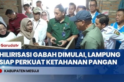 Lampung Percepat Modernisasi Pertanian, Hilirisasi Gabah Dimulai