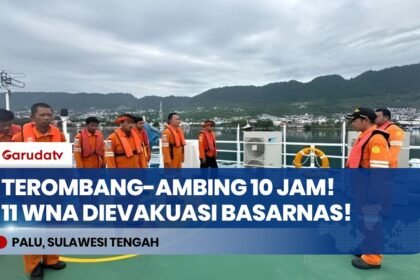Terombang-ambing 10 Jam di Laut, Basarnas Evakuasi 11 WNA Korban Kapal Tenggelam di Teluk Tomini