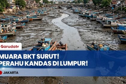 Air Laut Surut & Lumpur Menebal di Muara BKT Cilincing, Puluhan Perahu Nelayan Terjebak!