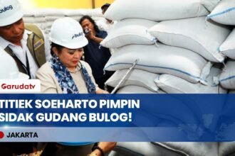 Dipimpin Titiek Soeharto! Komisi IV DPR RI Cek Langsung Kualitas Beras di Gudang Bulog Kalsel