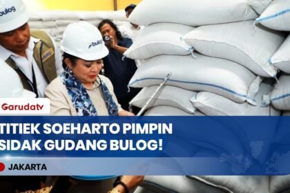 Dipimpin Titiek Soeharto! Komisi IV DPR RI Cek Langsung Kualitas Beras di Gudang Bulog Kalsel