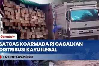 Berbekal Informasi Intelijen, Koarmada RI Sita 35 Meter Kubik Kayu Ilegal Bernilai Rp270,5 Juta