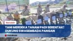 Tani Merdeka Pasuruan Raya Gelar Tanam Padi Serentak, Dukung Swasembada Pangan Nasional