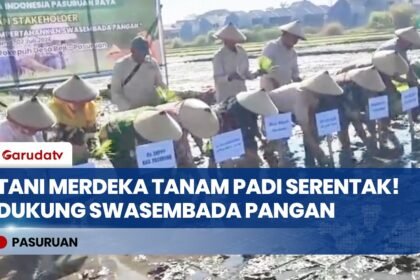Tani Merdeka Pasuruan Raya Gelar Tanam Padi Serentak, Dukung Swasembada Pangan Nasional