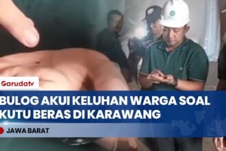 Bulog Minta Maaf atas Keluhan Kutu Beras di Karawang, Lakukan Penanganan Cepat