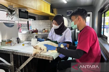 Keliling di 5 Wilayah Jakarta, Ini Fasilitas dan Daftar Harga Layanan Mobil Klinik Hewan Pemprov DKI