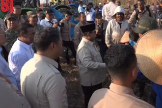 Momen Hangat di Malang: Lihat Kedatangan Presiden Prabowo, Petani Tebu Spontan Berlari Berebut Salaman