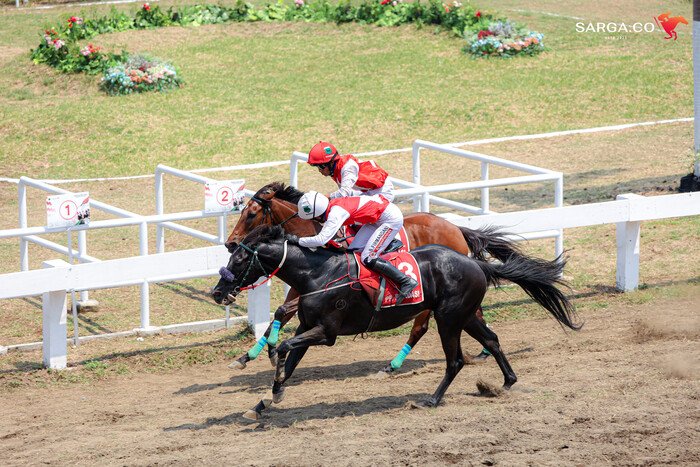 Indonesia’s Horse Racing: Indonesia Derby 2026 Sajikan Laga Bergengsi Sambil Nikmati Pesona Tepi Pantai 14 Indonesia’s Horse Racing: Indonesia Derby 2026 Sajikan Laga Bergengsi Sambil Nikmati Pesona Tepi Pantai