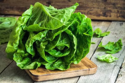Bukan Sekadar Pemanis Sandwich! Ini Rahasia Kelezatan dan 9 Khasiat Selada Romaine