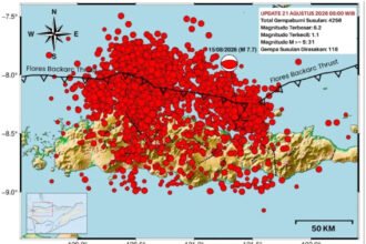 Ada 4.258 Gempa Susulan di Flores, BMKG Prediksi Guncangan Masih Terjadi Hingga se-Bulan Ke Depan