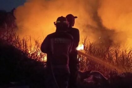 Dampak Karhutla Meluas, DPR Desak Kemenkes Siagakan Fasilitas Kesehatan dan Bagikan Masker Gratis
