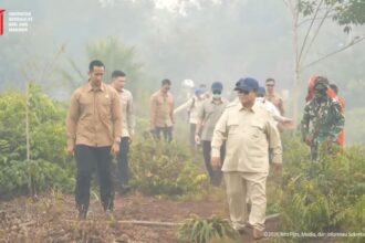 Dari Pontianak ke Palangkaraya, Prabowo Turun Langsung Tangani Karhutla