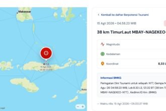 Gempa M7,7 Flores Berpotensi Tsunami, Ini Daerah yang Masuk Status Siaga