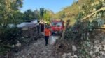 Hari Kedua Pascagempa M 7,7 Nagekeo, Tim SAR Buka Akses dan Perluas Pencarian