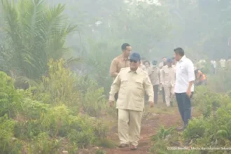 Karhutla Kalimantan, Prabowo Perintahkan TNI-Polri Turun ke Empat Provinsi