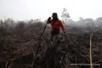 Karhutla Mendominasi Bencana Awal Agustus, BNPB Ingatkan Ancaman Puncak Kemarau
