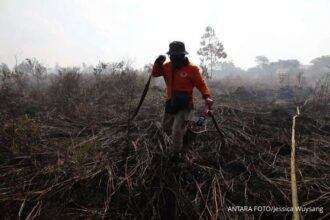 Karhutla Mendominasi Bencana Awal Agustus, BNPB Ingatkan Ancaman Puncak Kemarau