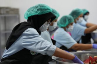 Buntut Kasus Keracunan SMKN 6 Semarang, 5 Kepala Dapur MBG di Jateng Dicopot BGN