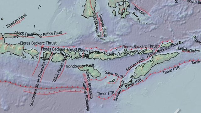 Mengenal Flores Back Arc Thrust, Sesar Ganas di Balik Pemicu Gempa M7 Guncang NTT 2 Mengenal Flores Back Arc Thrust, Sesar Ganas di Balik Pemicu Gempa M7 Guncang NTT