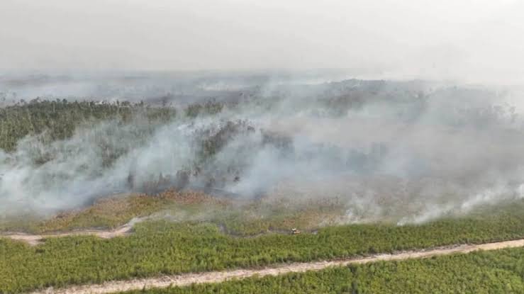Polri Klaim 62 Persen Lahan Karhutla Berhasil Dipadamkan