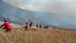 Presiden Prabowo Perintahkan Water Bombing dan Modifikasi Cuaca Atasi Karhutla Bromo
