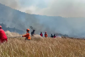 Presiden Prabowo Perintahkan Water Bombing dan Modifikasi Cuaca Atasi Karhutla Bromo