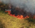 Lahan Alang-Alang Terbakar Ancam Perumahan Mewah di Cilincing Siang ini