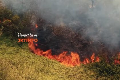 Lahan Alang-Alang Terbakar Ancam Perumahan Mewah di Cilincing Siang ini