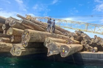 TNI AL Gagalkan Dugaan Pengiriman 714 Kayu Log Bermasalah di Teluk Berau