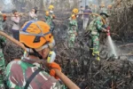 TNI Siapkan 66.510 Personel untuk Hadapi Karhutla di Indonesia