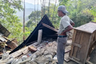 Update: 341 Gempa Susulan Guncang NTT Pascagempa M7,7, 47 Orang Tewas