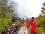 Kekeringan Ekstrem Ancam 1.156 KK di Papua, Karhutla Meluas di 3 Provinsi