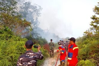 Kekeringan Ekstrem Ancam 1.156 KK di Papua, Karhutla Meluas di 3 Provinsi