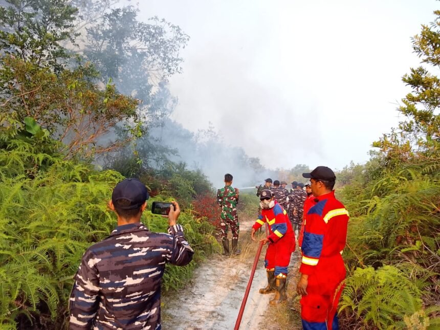 Kekeringan Ekstrem Ancam 1.156 KK di Papua, Karhutla Meluas di 3 Provinsi