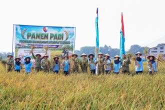Panen 17,5 Ton Gabah, Lanud Halim Salurkan Hasilnya untuk Dukung Program MBG